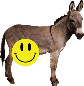 A donkey. 