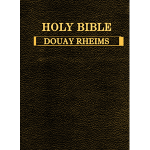 Douay Rheims Holy Bible