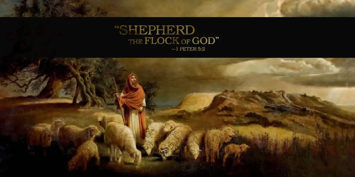 "Shepherd the Flock of God" is the second edition of the secretive elder manual used for and against Jehovah's Witnesses