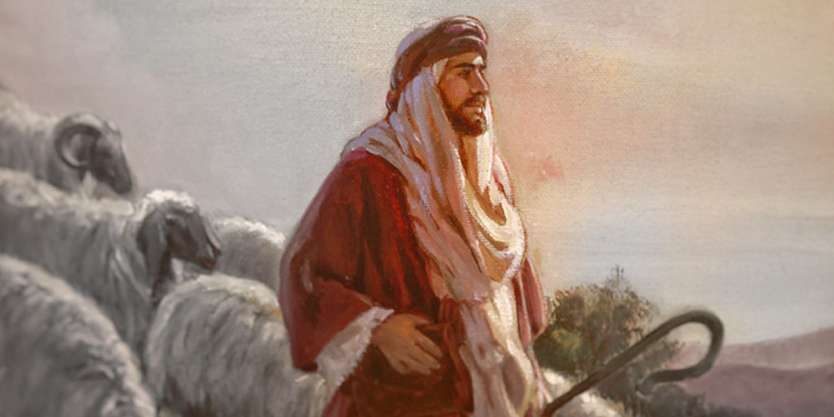 Shepherd the Flock of God- The Secret Rulebook for Elders