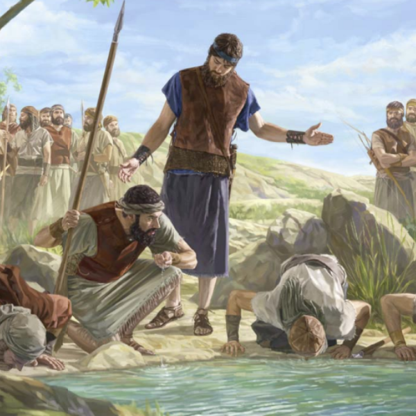 AvoidJW Gideons 300 men